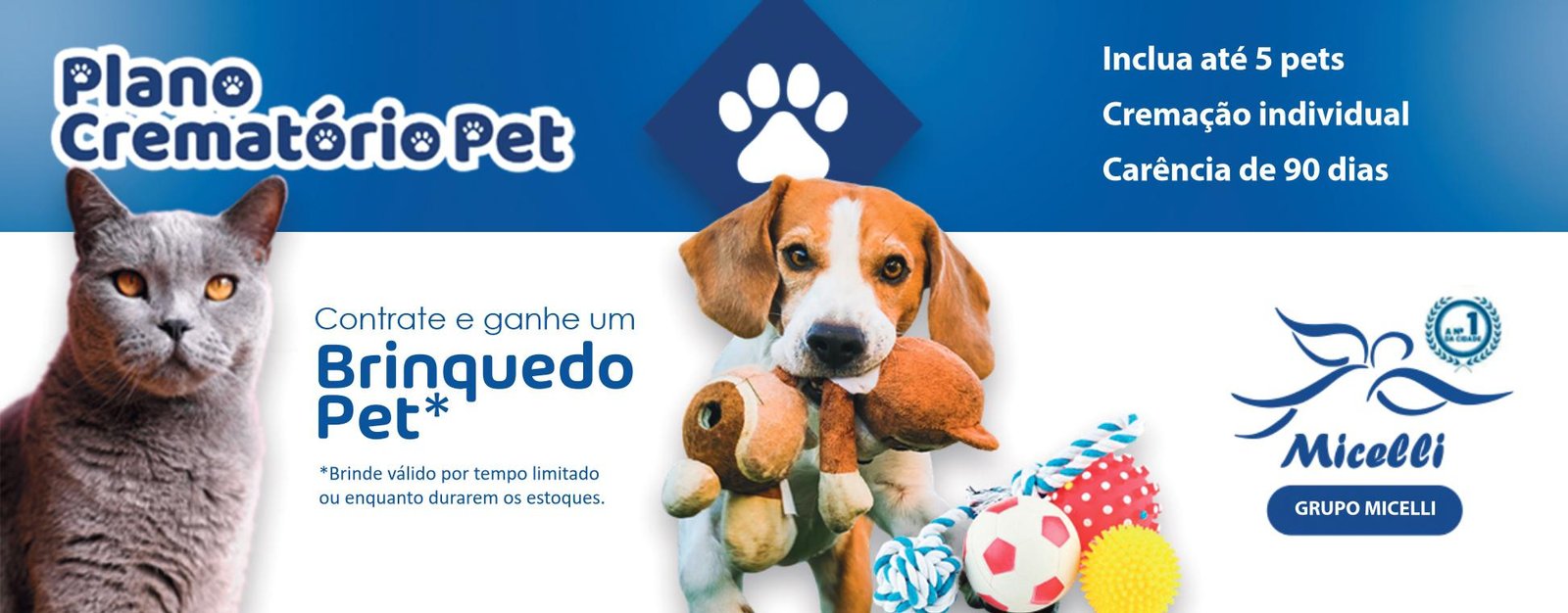Banner para o site Micelli - promoção brinquedo_page-0001